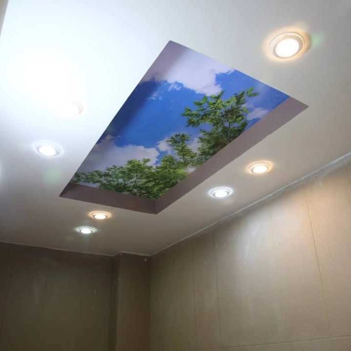 1697536967186.webp